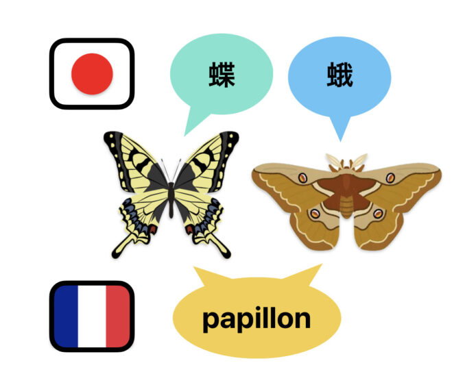 日本語とフランス語の違い